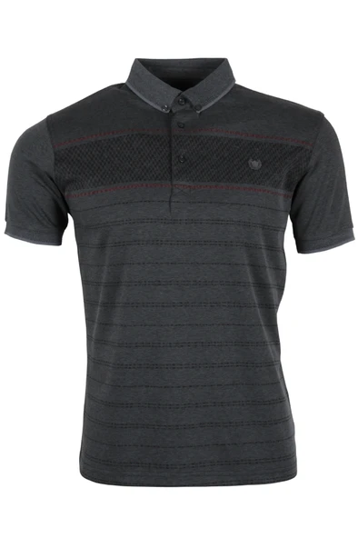 Erkek Tişört Polo Yaka Normal Kesim Desenli RAR01322