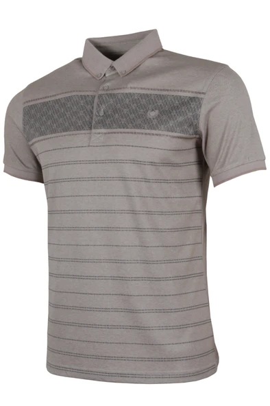 Erkek Tişört Polo Yaka Normal Kesim Desenli RAR01321 - 2
