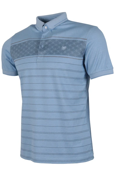 Erkek Tişört Polo Yaka Normal Kesim Desenli RAR01323 - 2
