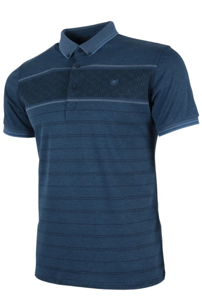 Erkek Tişört Polo Yaka Normal Kesim Desenli RAR01319 - 2