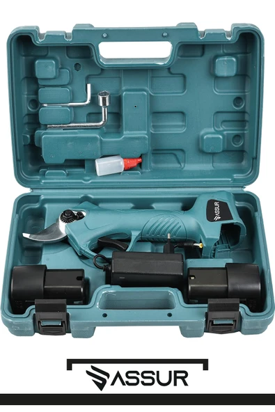 Assur 16.8V Çift Akülü Ağaç Odun Dal Kesme Makinası Şarjlı Dal Budama Makinesi - 2