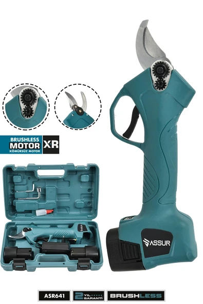 Assur 16.8V Çift Akülü Ağaç Odun Dal Kesme Makinası Şarjlı Dal Budama Makinesi