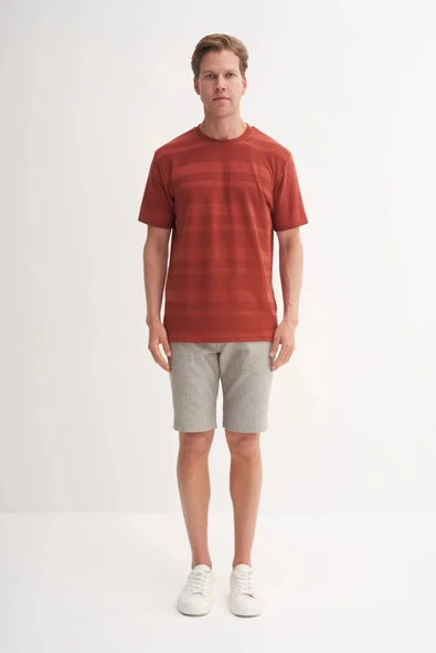 Cazador Bisiklet Yaka Regular Fit Örme Tişört 4123 - 3