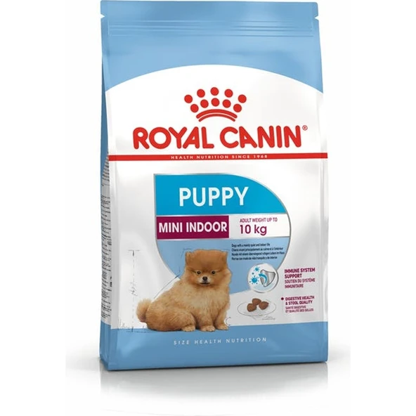 Mini Indoor Puppy 1.5 kg
