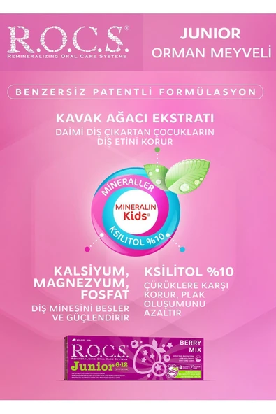 Rocs Junior 6-12 Orman Meyveli Özlü Diş Macunu 74 gr - 2