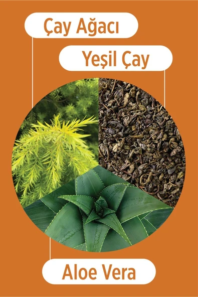 SELESTA LİFE Çay Ağacı Yağı ve Aloe vera Arındırıcı ve Canlandırıcı Günlük Yüz Temizleme Jeli 200 ml - 3