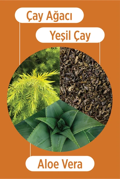 SELESTA LİFE Çay Ağacı Yağı, Yeşil Çay ve Aloe vera Yüz Peelingi 100 ml - 3