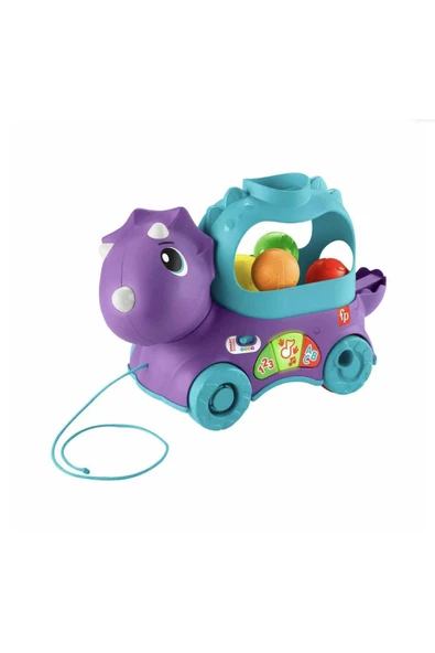 FISHER PRICE Art002 U01 Hnr55 Eğlenceli Dinozor Bernami Yeni - Resim 4