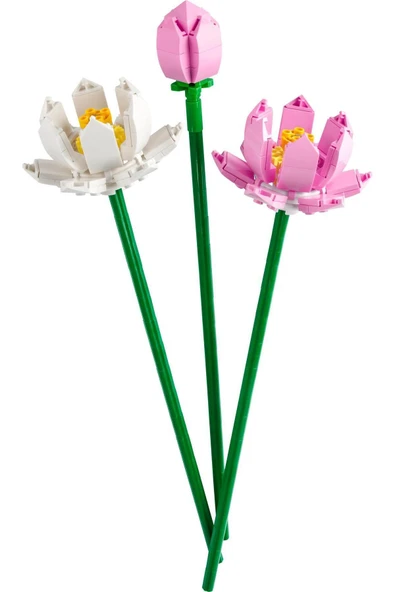 LEGO ® Botanicals Lotus Çiçekleri 40647 - 8+ Çiçek Model Yapım Seti (220 Pr) - 4