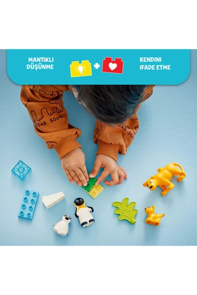 LEGO ® DUPLO® Vahşi Hayvan Aileleri: Penguenler ve Aslanlar 10442 - 2+ Eğitici Oyuncak Seti (10 Parça) - 5