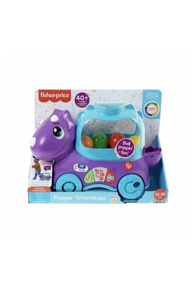 FISHER PRICE Art002 U01 Hnr55 Eğlenceli Dinozor Bernami Yeni - Resim 6