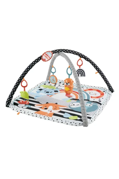 FISHER PRICE Fisher-Price® Neşeli Hayvanlar 3'ü 1 Arada Jimnastik Merkezi | HBP41