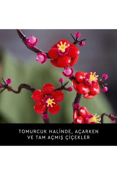 LEGO ® Botanicals Erik Çiçeği 10369 - 18+ Yaratıcı Model Yapım Seti (327 Parça) - 8