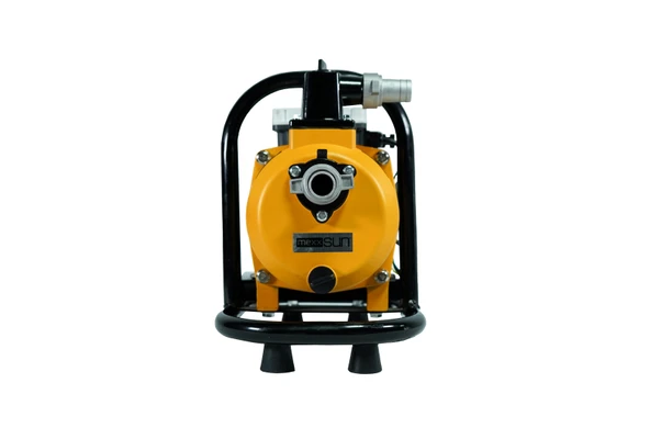 DC Yüzey Pompa 1Hp 750W (SFP6-20-750W/72V) - Resim 2