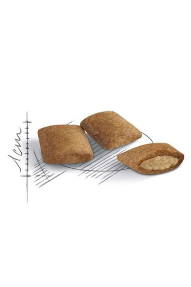 Royal Canin Ageing +12 Yaş Üzeri Yaşlı Kuru Kedi Maması 2 kg