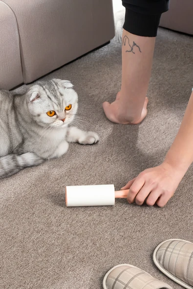 Porsima 3106 Kedi Köpek Tüy Toplayıcı Rulo + 4 Adet Yedek Rulo Somon - Resim 2