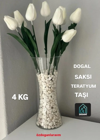 Beyaz Teraryum Saksı Taşı 4 Kg