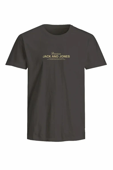 Jack Jones Blaferrıs Regular Fit Erkek Tişört 12282250