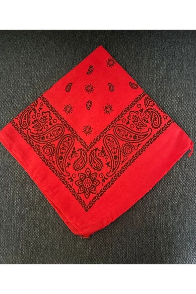 Vipfoni Pamuklu Klasik Şal Desen 2 Adet Bay& Bandana