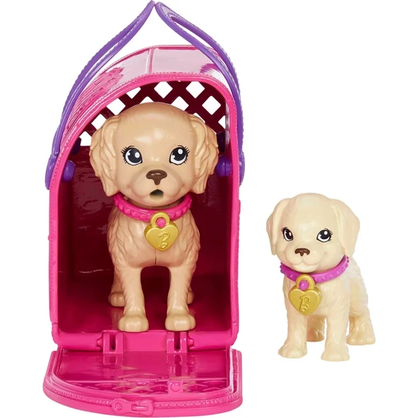 Barbie ve Köpekçikleri Oyun Seti - 2