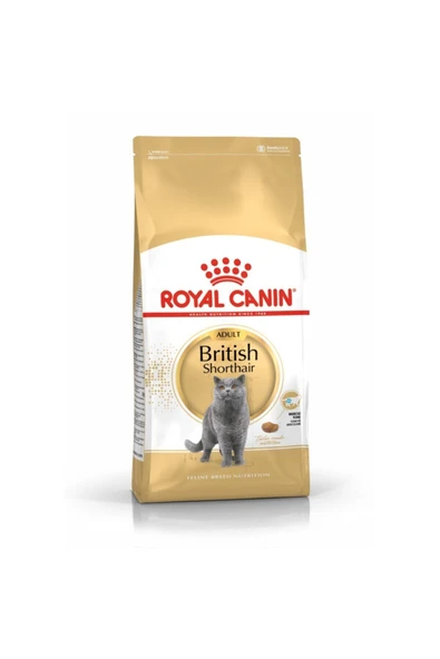 Royal Canin British Shorthair Yetişkin Kedi Maması 10 kg ürün görseli
