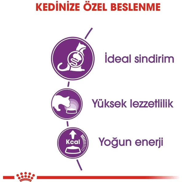 Sensible 33 Hassas Sindirimli Kediler Için Kedi Mamasi 15 kg - Resim 2