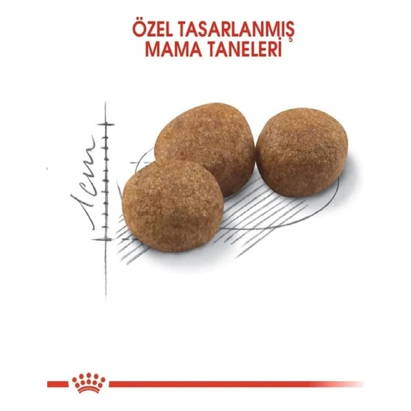 Sterilised 37 Kisirlaştirilmiş Kedi Mamasi 4 kg - Resim 6