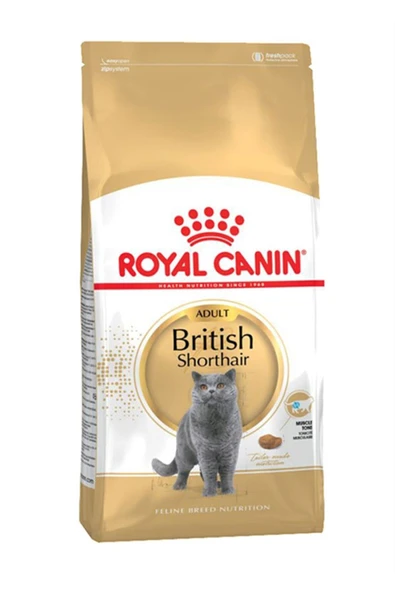 Royal Canin British Shorthair Yetişkin Kedi Maması 10 kg ürün görseli