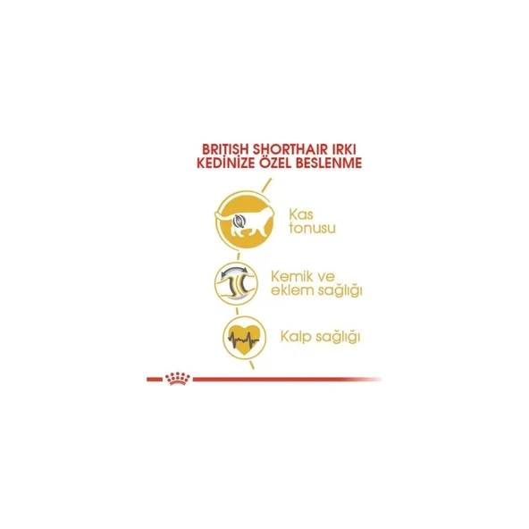 British Shorthair Adult Yetişkin Kedi Maması 10 kg - Resim 3