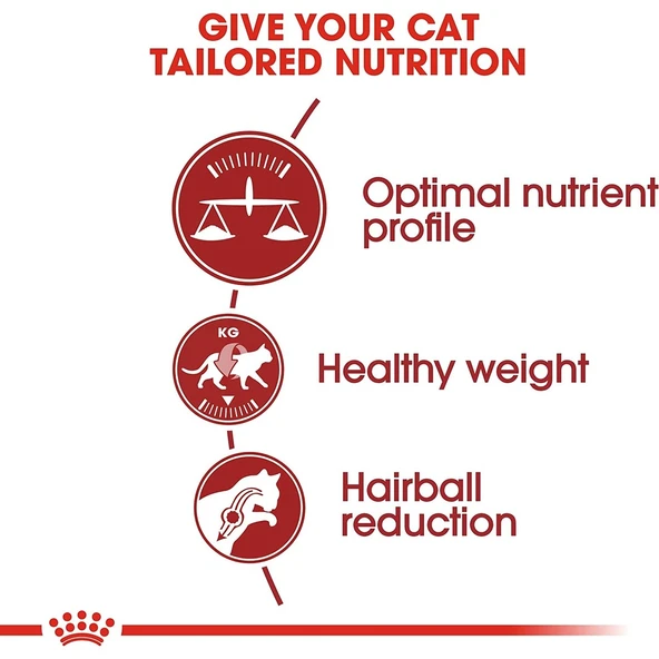 Fıt 32 Kedi Maması, 15 kg - 2