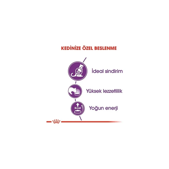 Sensible 33 Seçici ve Hassas Yetişkin Kedi Maması 4kg Regular Adult Cat Food - Resim 4