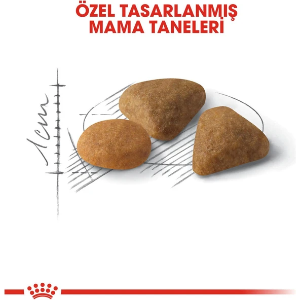 Exigent Kedi Maması - 10 kg - Resim 4