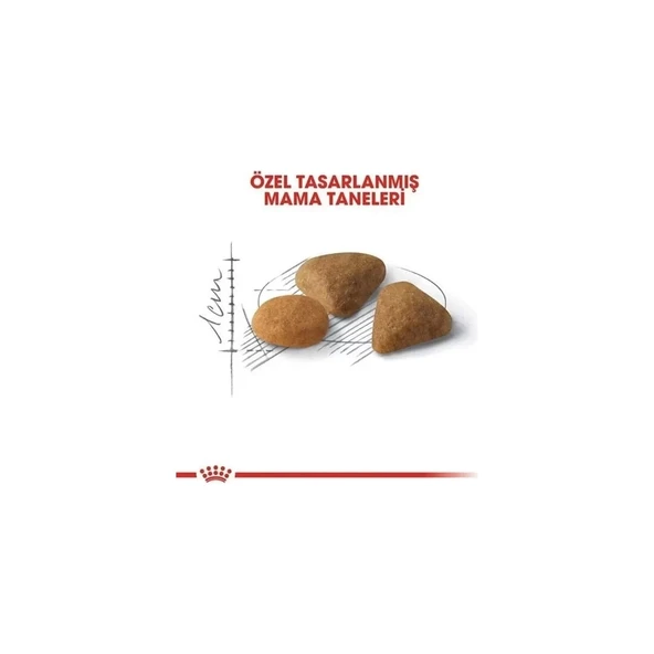 Exigent Savour Seçici Yetişkin Kedi Maması 10 kg - 4