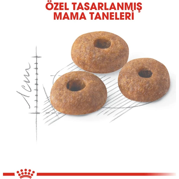 Fit 32 Kedi Maması - 15 kg - Resim 3