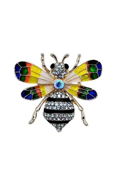 Gökkuşağı Parıltılı Arı Broşu - Resim 4