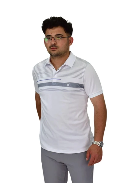 Erkek Polo Yaka Pano Çizgili Tişört T273 BGL-ST04592 - Resim 7