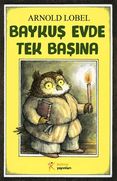 Baykuş Evde Tek Başına