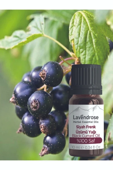 Siyah Frenk Üzümü Çekirdeği Yağı 10 ml %100 Doğal Omega 6 Yağı - 5