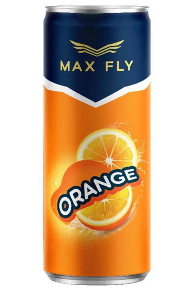 MAX FLY 250 ml Gazlı İçecek Karma 12 Adet - 4
