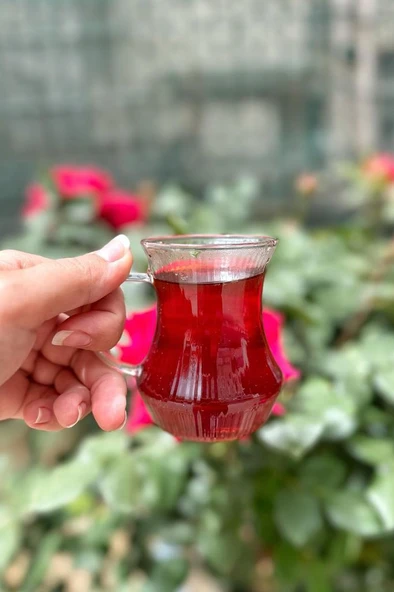Mien 6 Kişilik Borosilikat Çizgili Cam Çay Bardağı Çay Bardağı - 2