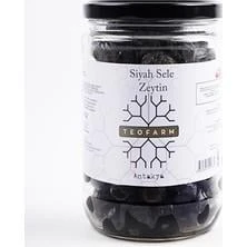 Teofarm Antakya Kurutulmuş Zahter 40 gr ürün görseli 1