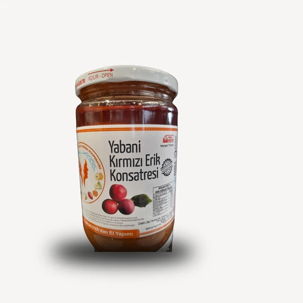 Pamukova Kadın Koop. Yabani Kırmızı Erik Konsantresi 600 gr