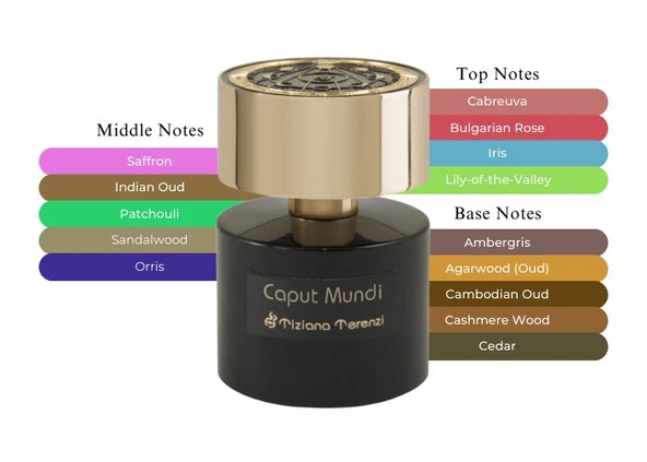 Tiziana Terenzi Caput Mundi Extrait De Parfum Unisex Erkek Parfüm 100 ml - Resim 3
