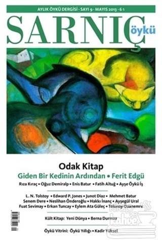 Sarnıç Öykü Dergisi Sayı: 9   Mayıs 2013