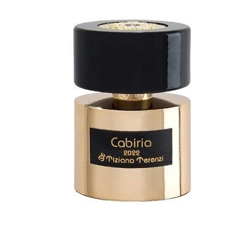 Tiziana Terenzi Borea (U) Ekstra Parfüm 100Ml Erkek-Unisex - 3