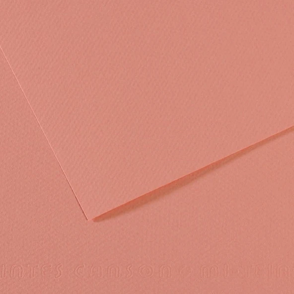 Canson Fon Kartonu (Dokulu) Mı-Teıntes Sh Canmt 50x65 160 GR Pınk 352