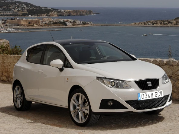 Seat İbiza 2009-2017 Ön Cam Silecek Vida Kapağı 1J0955205A - 2