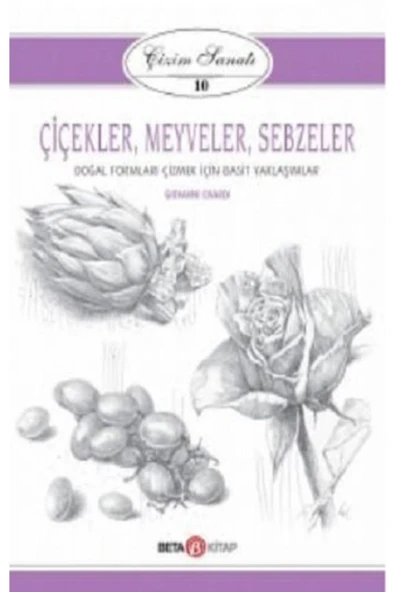 Çiçekler Meyveler Sebzeler - Çizim Sanatı 10 - - Giovanni Civardi Kitabı