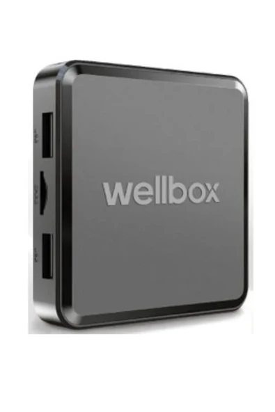 wellbox Android Tv Box, Tvbox Media Player, 12 Max2 model, 2gb Ram 16gb Hafıza Android 12 - 2