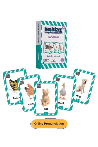 4-9 Yaş İngilizce Konuşturan Kelime Kartları English Flash Cards/ Okul Öncesi ve İlkokul /376 Kelime - 3